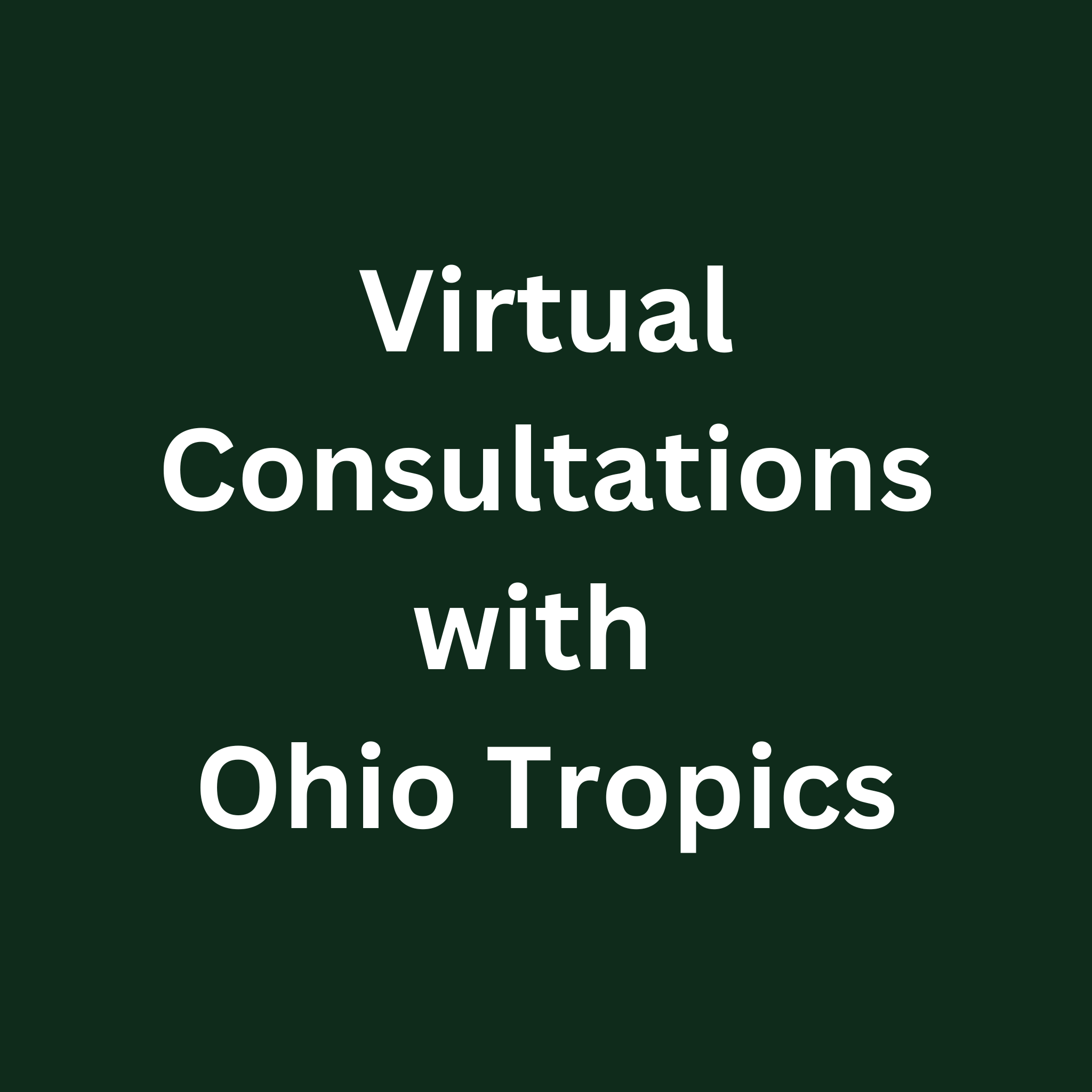 Consultations