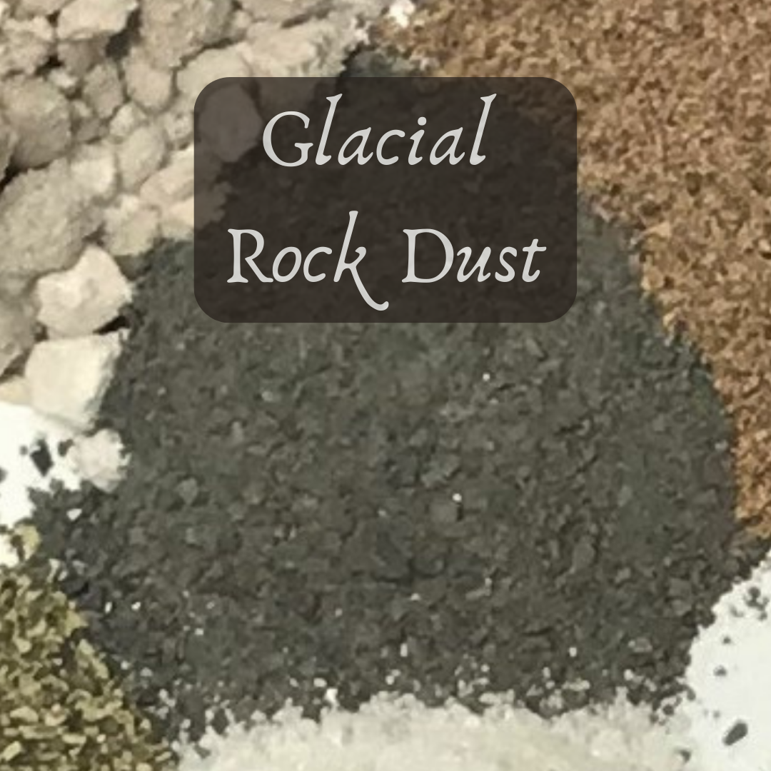 Bulk Seed Meals