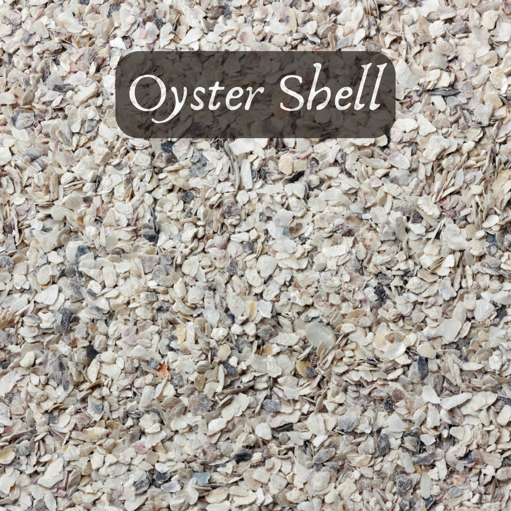 Bulk Seed Meals