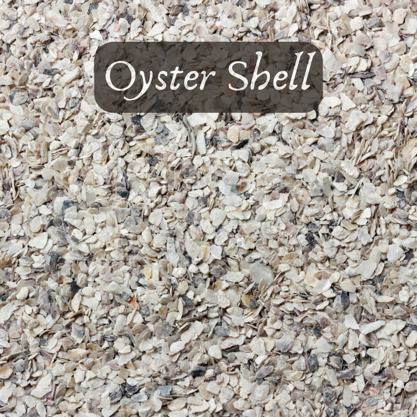 Bulk Seed Meals