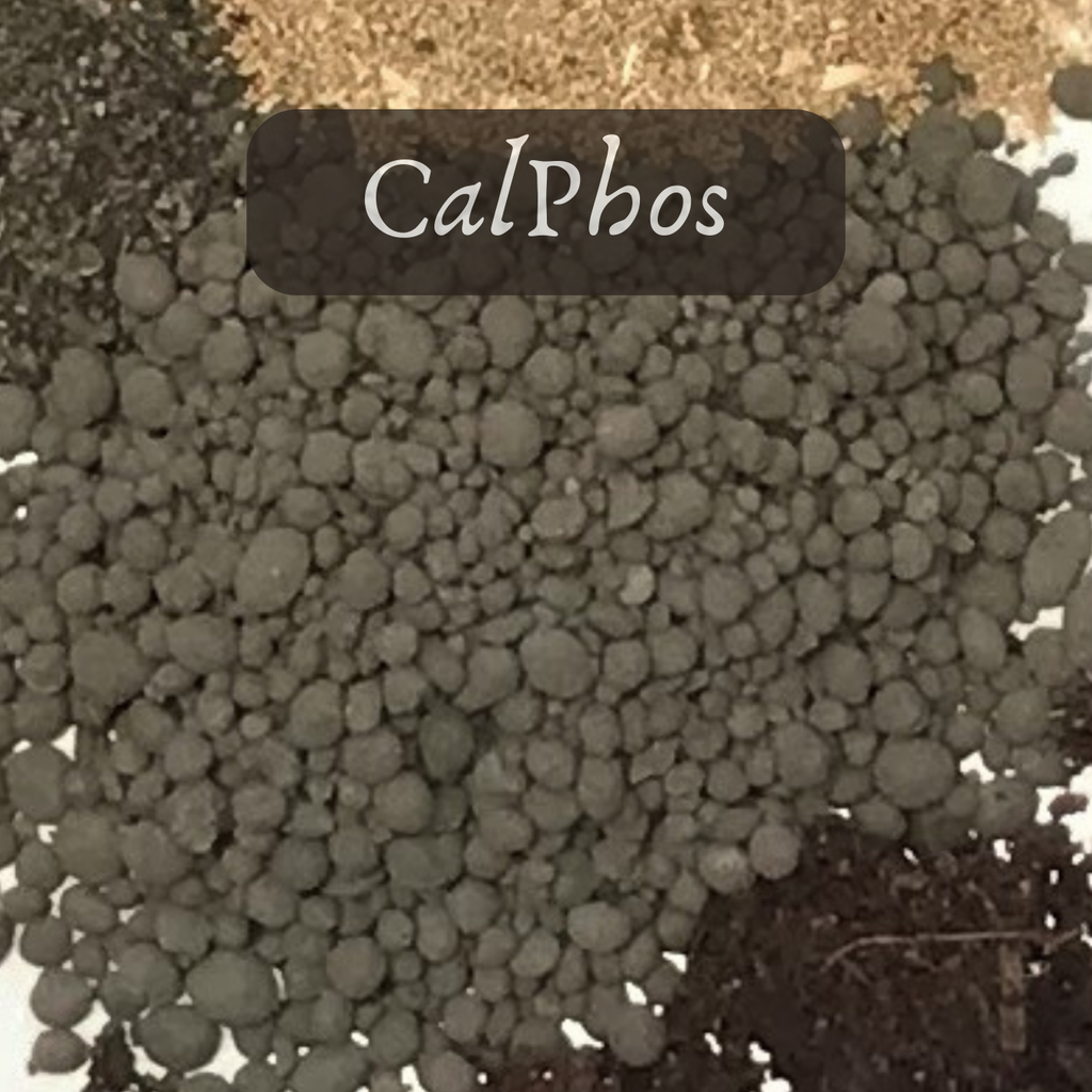 Bulk Seed Meals