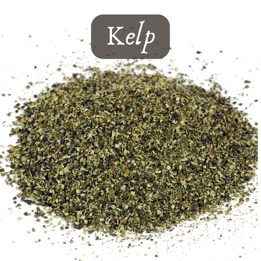 Bulk Seed Meals