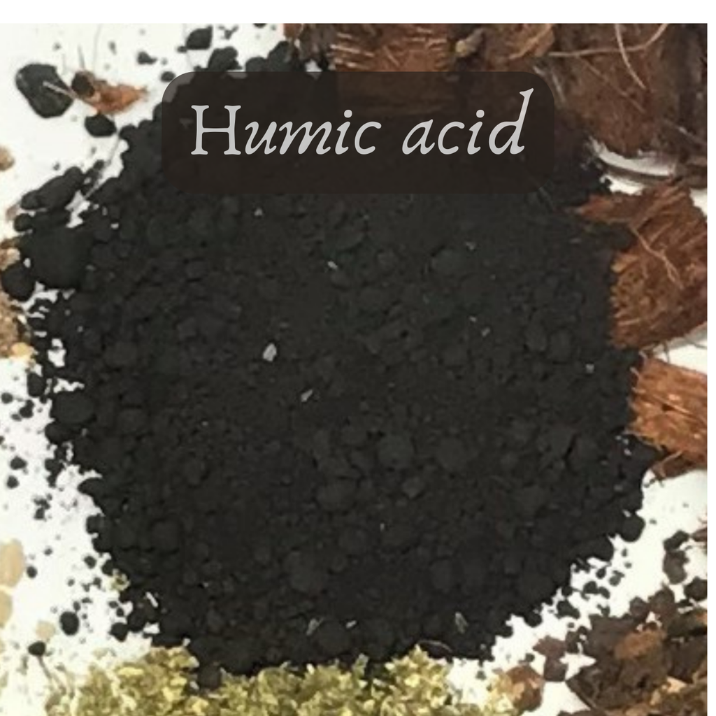 Bulk Seed Meals