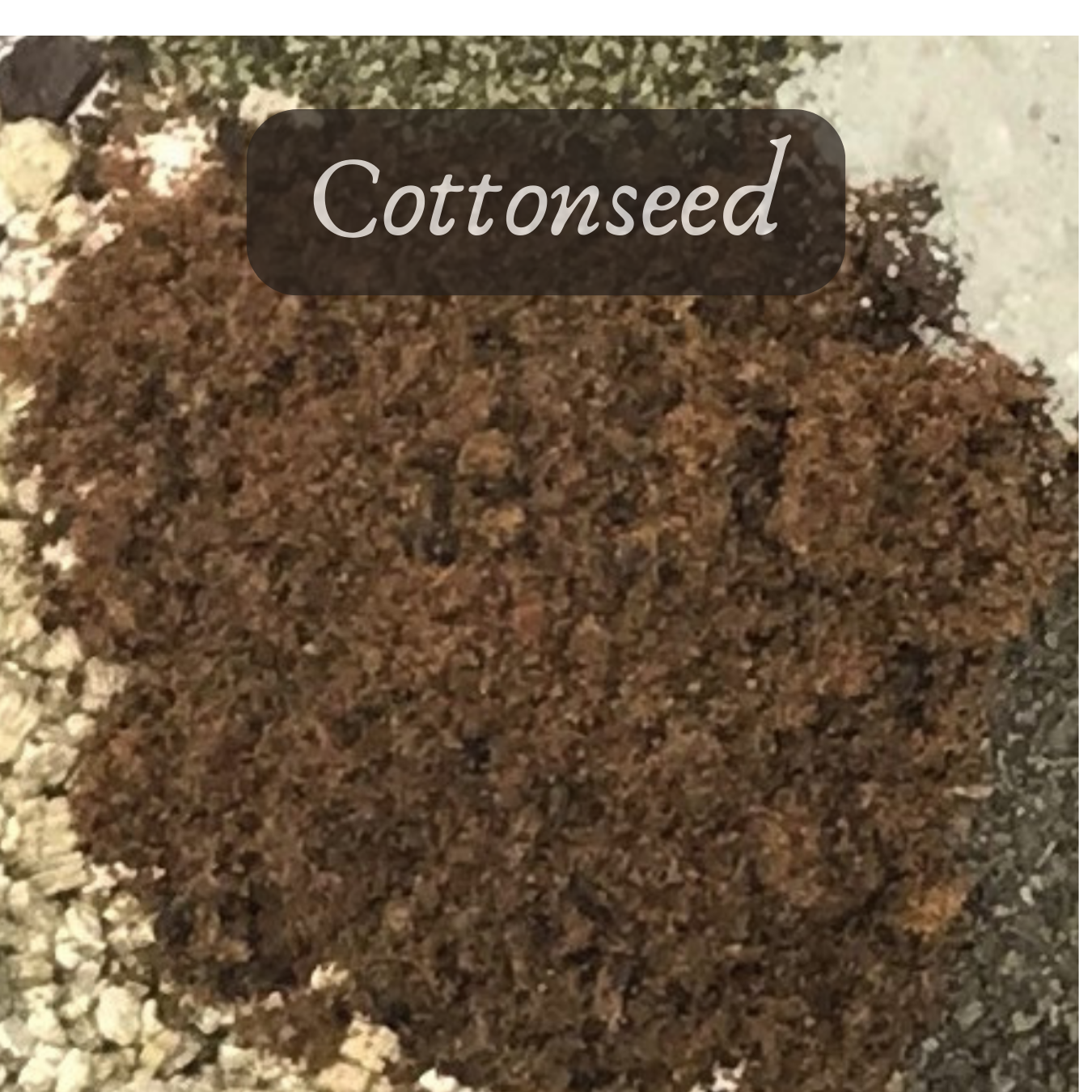 Bulk Seed Meals