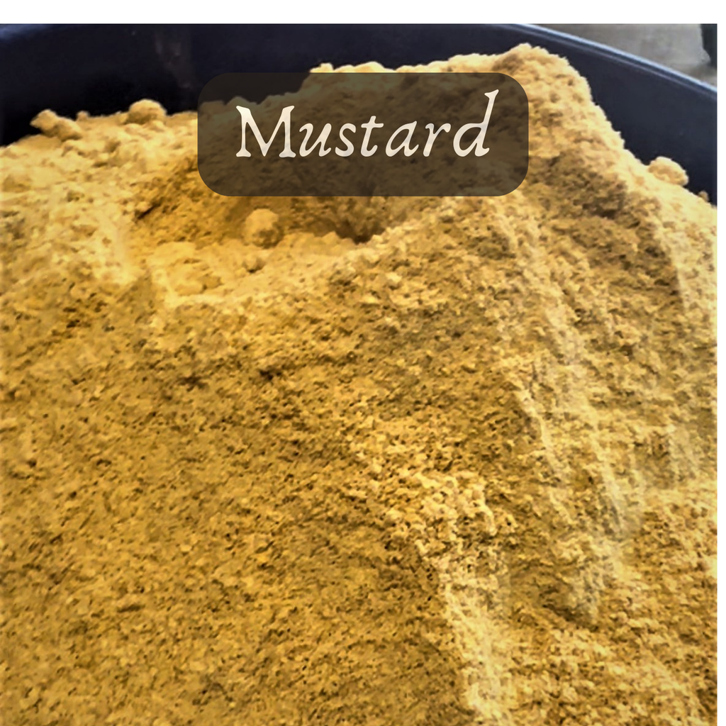 Bulk Seed Meals