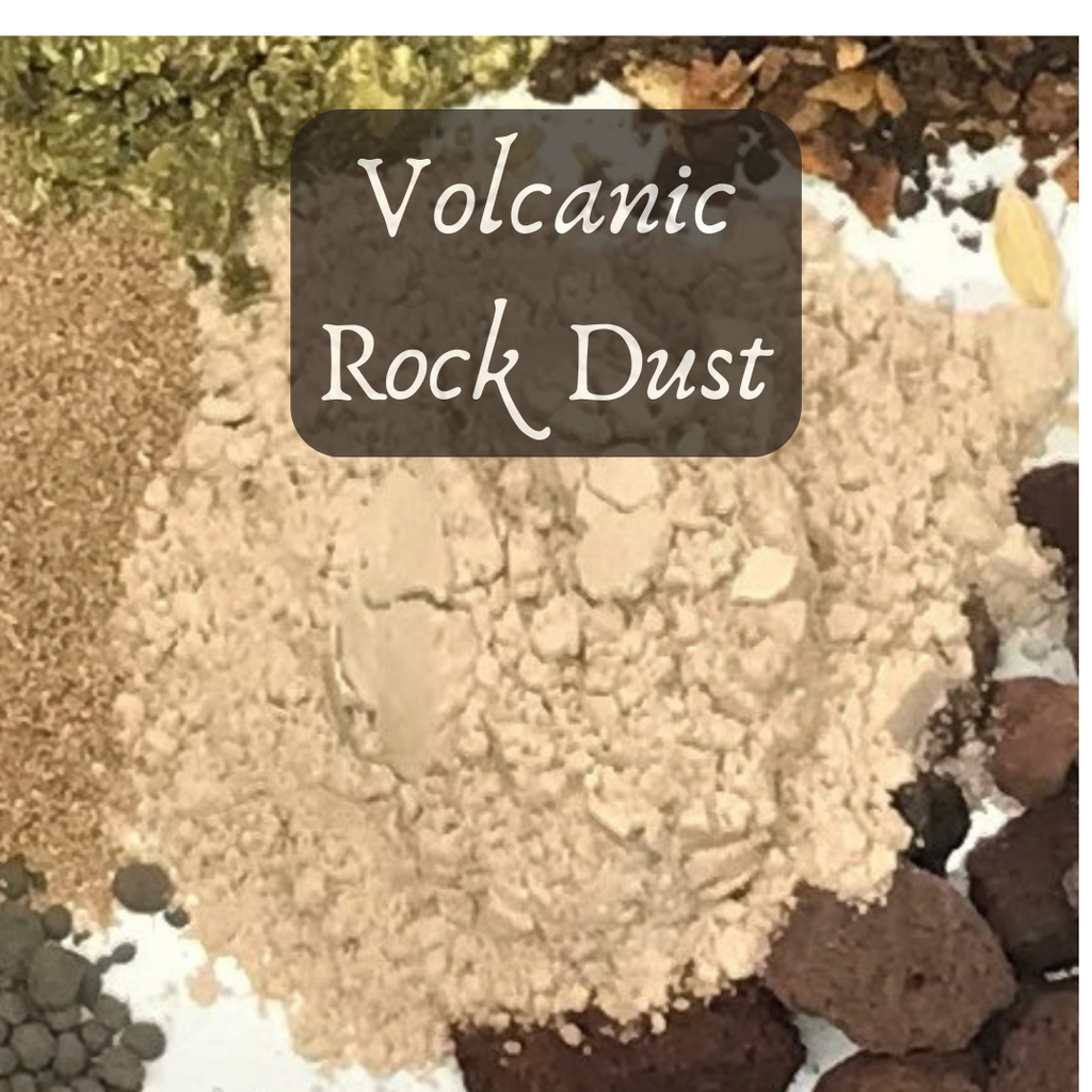 Bulk Seed Meals