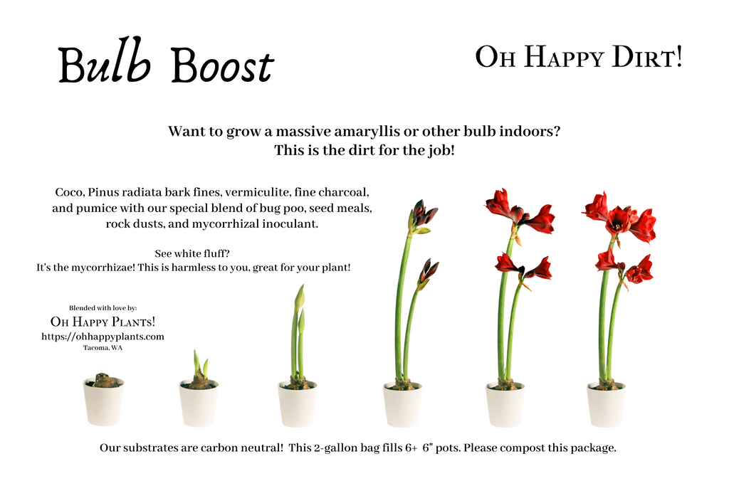 Bulb Boost