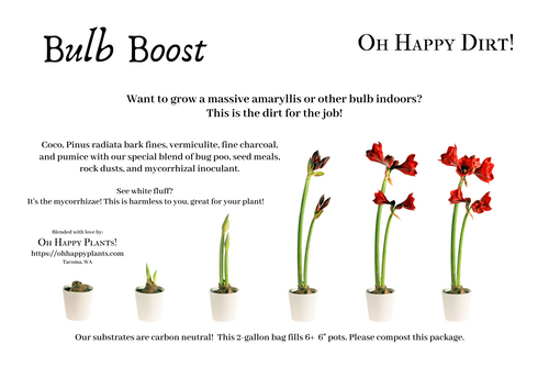 Bulb Boost