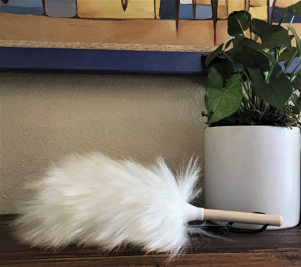 Plant Bath Kit