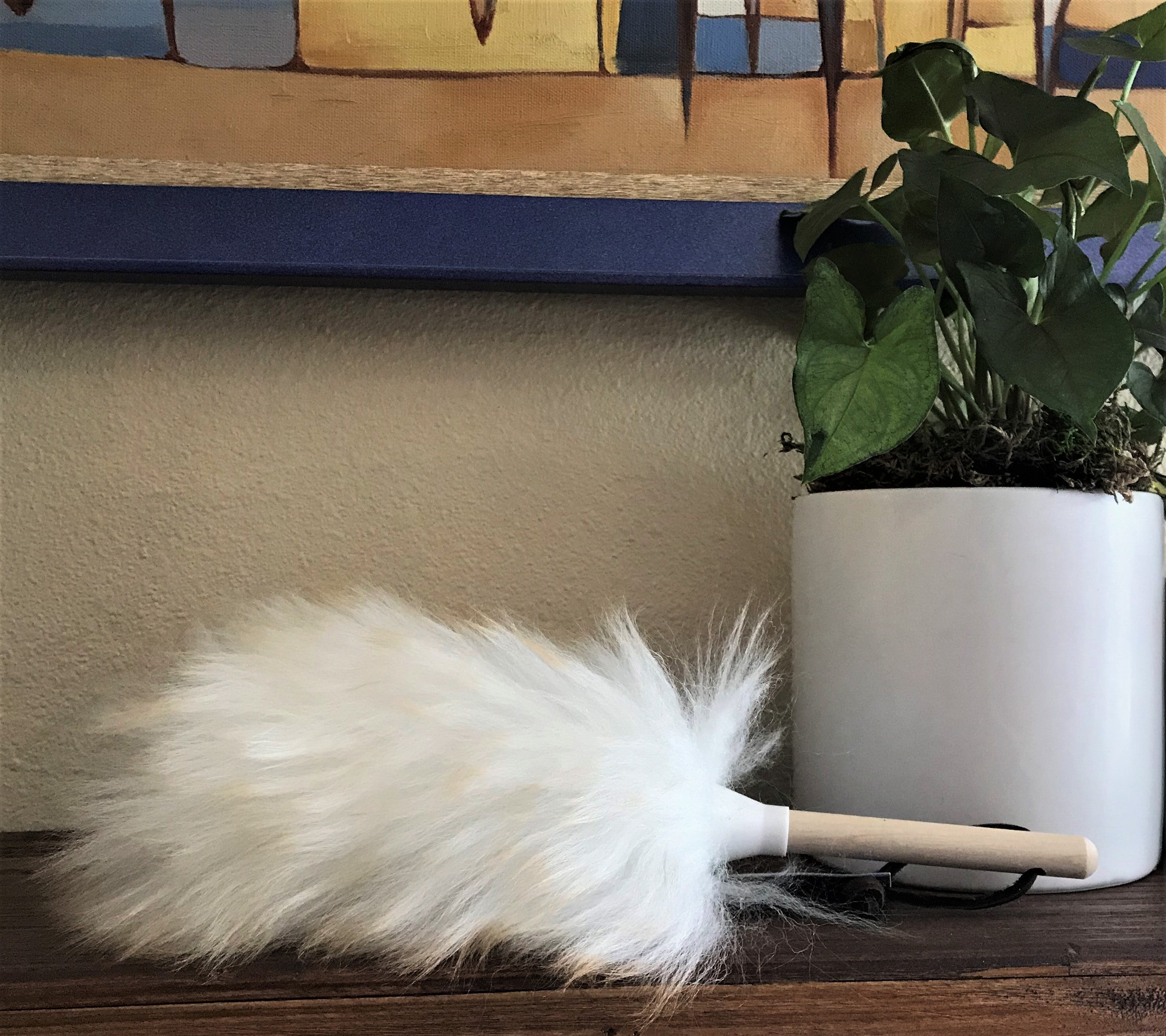 Plant Bath Kit