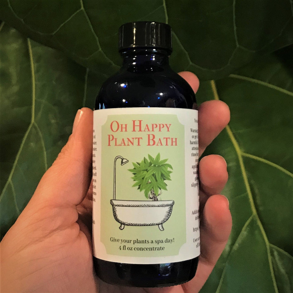 Oh Happy Plant Bath
