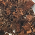 Coco Chips