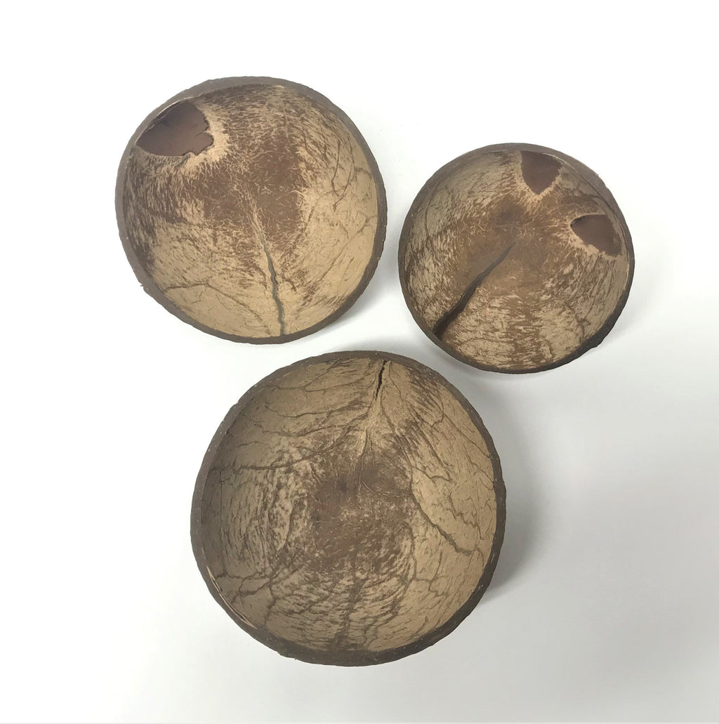 Coco Soil Scoop