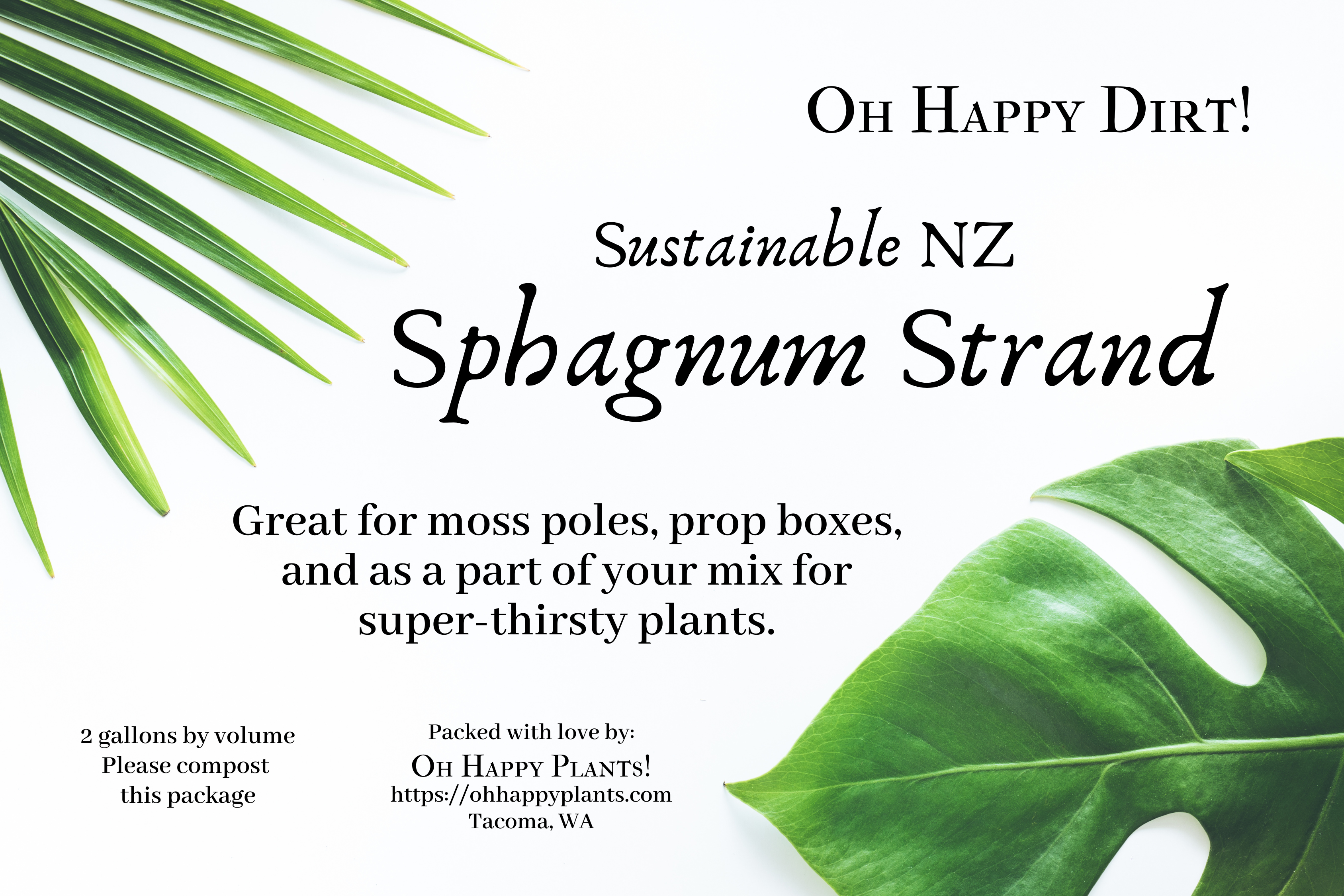 Sphagnum Strand